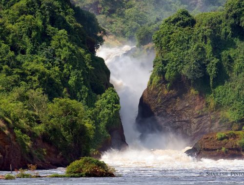 Murchison falls on River Nile